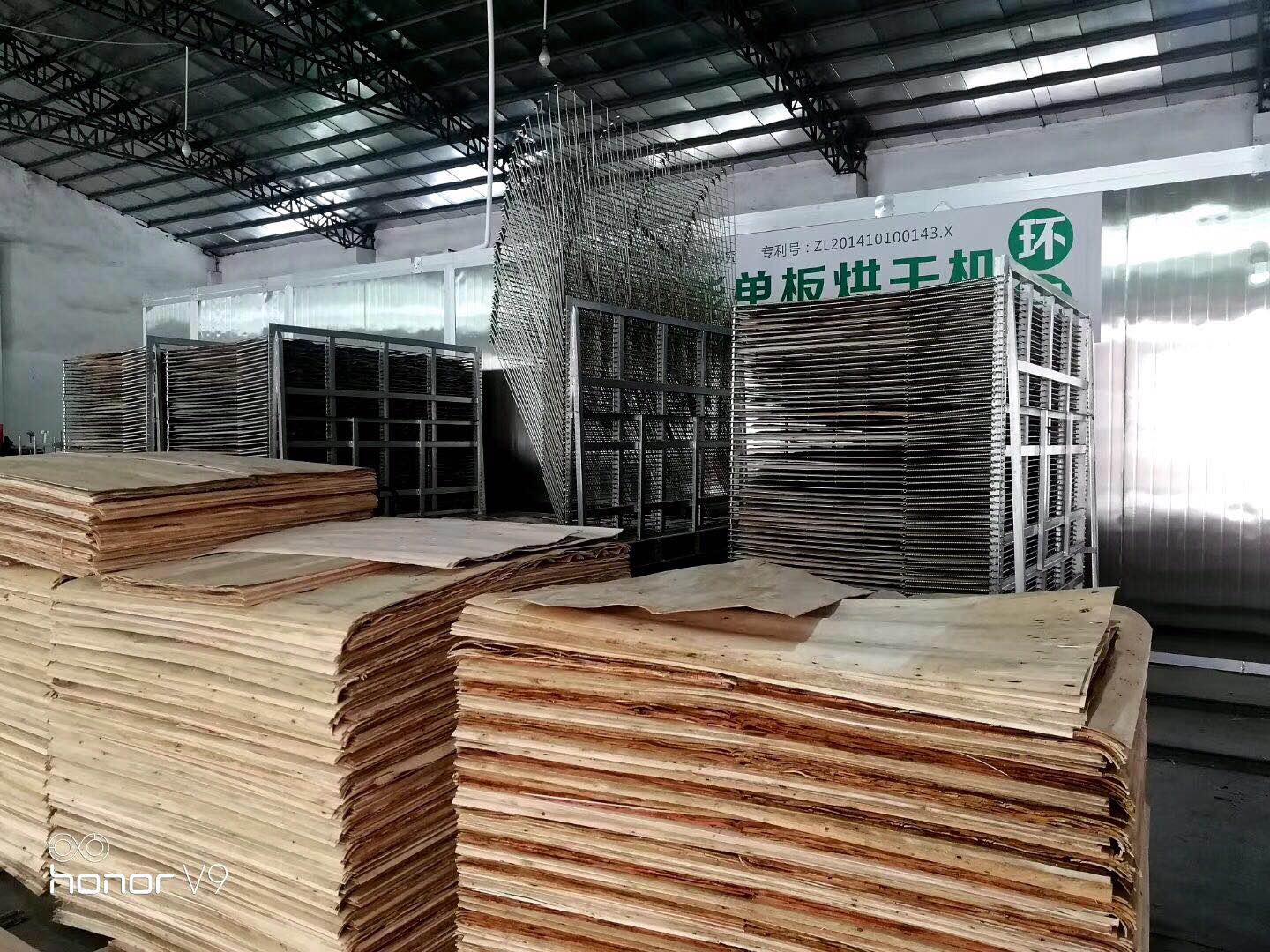 旋切單板烘干機(jī)(旋切板烘干機(jī)多少錢一臺)